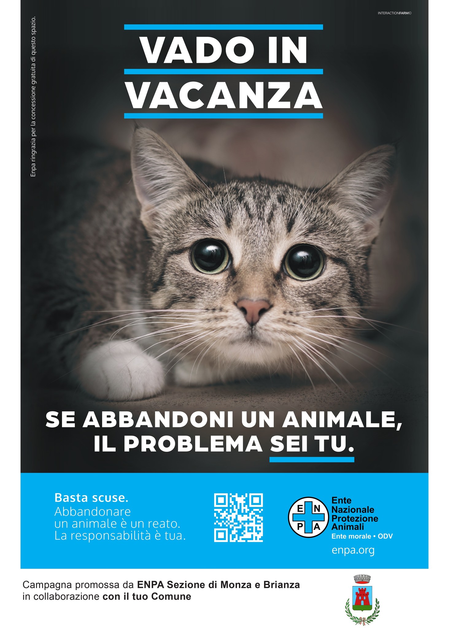 Campagna contro abbandono animali
